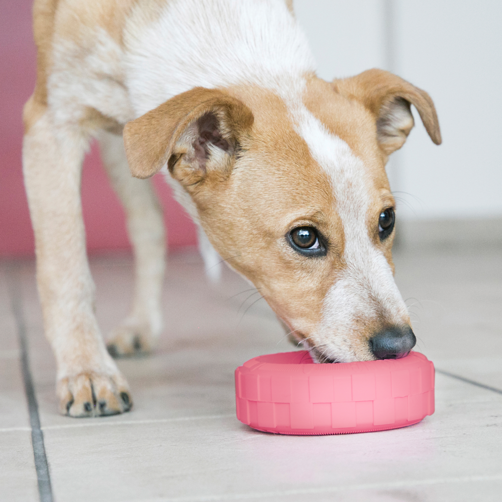 KONG Puppy Tyres Sm EU