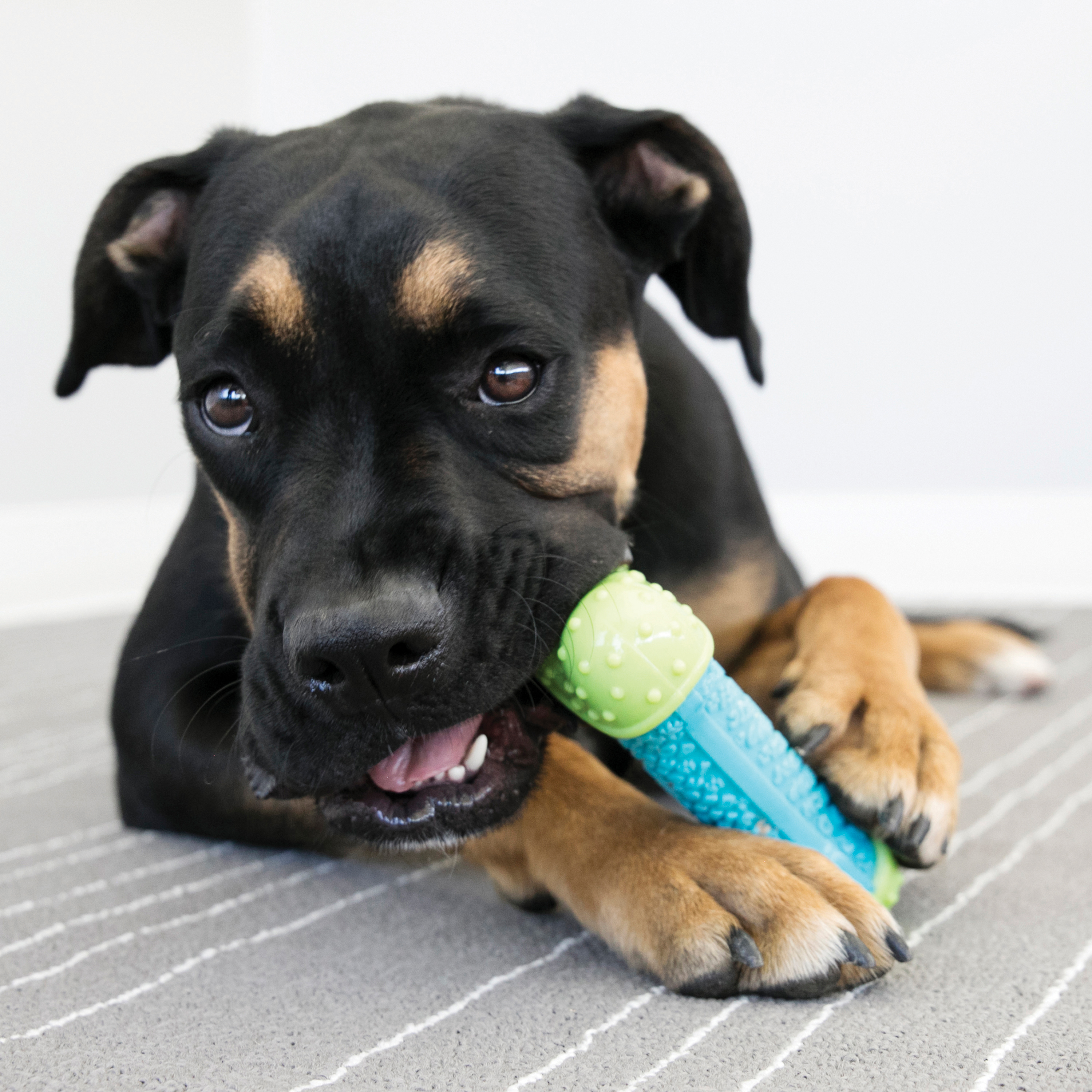 Kong Xmas CoreStrength Bone Medium
