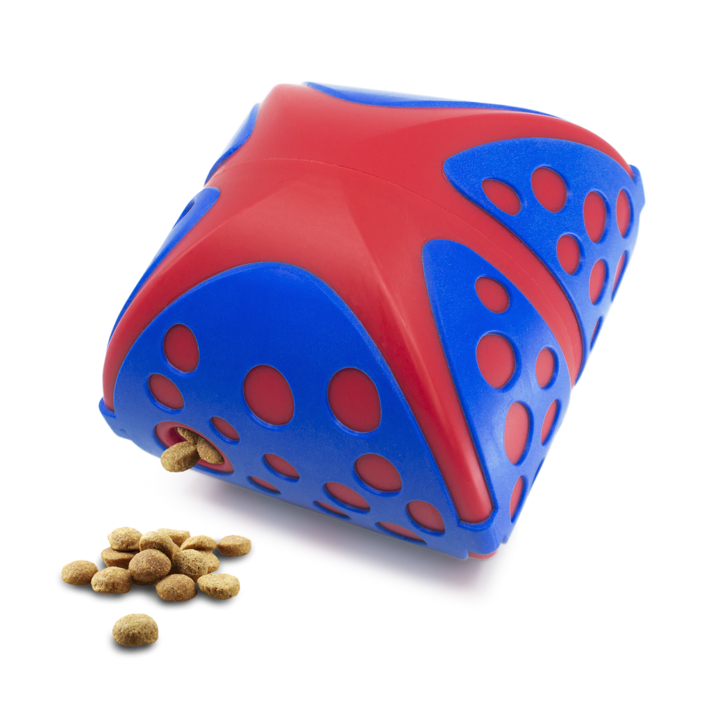Kong Rewards Wally Medium