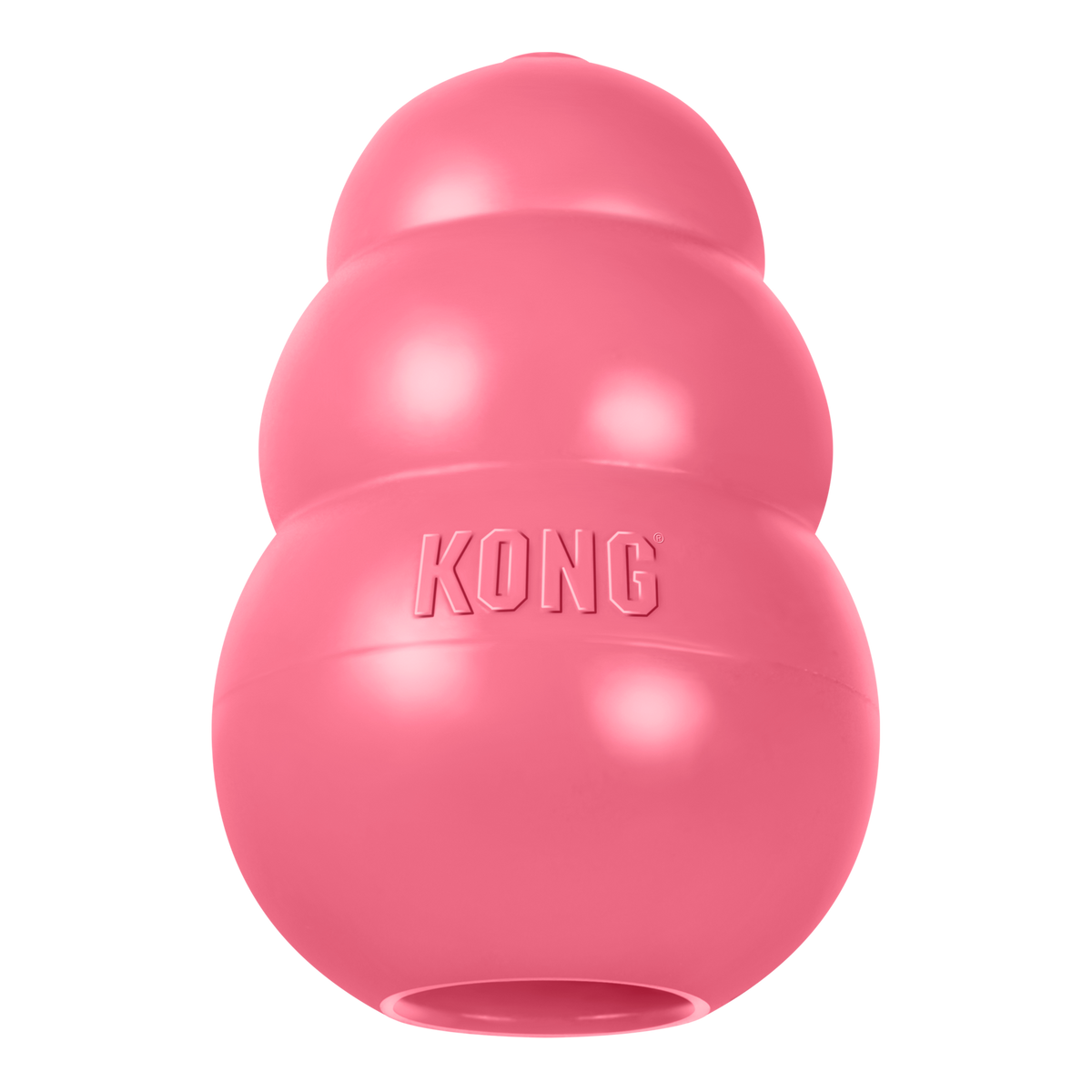 KONG Puppy XS EU