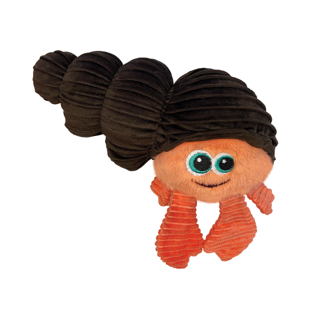 Cuteseas Rufflez Hermit Crab Sm/Md EU